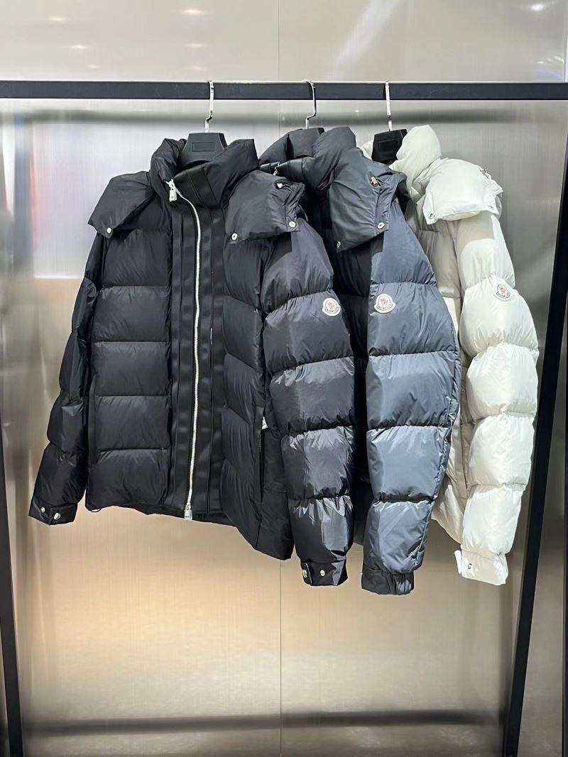 Louis Vuitton Down Jackets